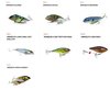 Jerkbaits-Auswahl-1.jpg