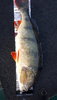 20210608_203832.jpg