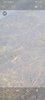 Screenshot_20210624-144358_Gallery.jpg