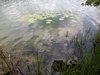 IMG_20210702_123824.jpg
