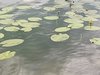 IMG_20210702_123836.jpg