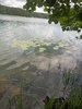 IMG_20210702_123826.jpg