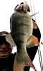 IMG_20210716_174629.jpg