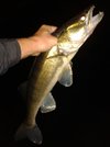 IMG-20160604-WA0013.jpg