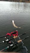 FB_IMG_1469422537172.jpg