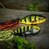 rps20160808_103034.jpg