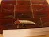 DSC_4861.JPG