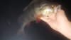 20210914_204231.jpg 20210914_204231.jpg
