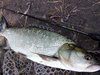 IMG_20210912_124205.jpg
