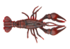 Craw 1.PNG