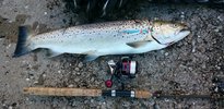 Meerforelle Slip Jig.jpg Meerforelle Slip Jig.jpg