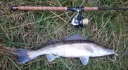 DSC_0487.jpg DSC_0487.jpg