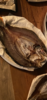 B9978862-D012-4BDA-94D6-CFF181CC94EF.png