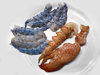 Crustacea_211203.jpg