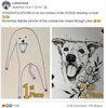 congratulations-to-the-two-winners-of-the-doggo-drawing-contest-meme.jpg