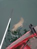 DSC_5196.JPG DSC_5196.JPG
