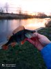 IMG_20211231_155654.jpg