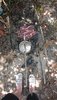 DSC_0330_1.JPG DSC_0330_1.JPG