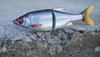 savage-gear-3d-lure-9128-2.jpg