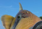 IMG_3929.jpg