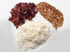 Speck Panko Parmesan_220214.jpg