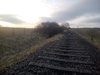 IMG_20220316_173618.jpg