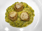 Coquilles 220422.jpg