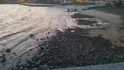 20220321_060804.jpg 20220321_060804.jpg