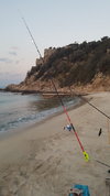 20220321_063052.jpg 20220321_063052.jpg