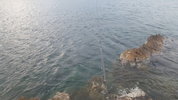 20220323_062339.jpg 20220323_062339.jpg