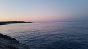 20220418_060306.jpg