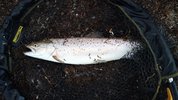 IMG_20220430_062535_903~2.jpg