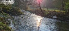 20220423_074927.jpg