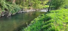 20220423_084158.jpg