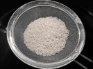 Basmati 220526.jpg