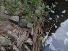 20220530_071713.jpg 20220530_071713.jpg