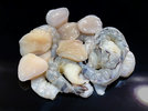 Shrimps Coquilles Saint Jacques 220608.jpg