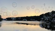 869708F6-CB5F-4F8C-87B2-F56E2B25CD41.jpeg