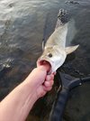 IMG_20220625_055650.jpg