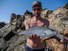 Shore Jigging Diaries Amberjack