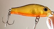 20220723_140718~2.jpg