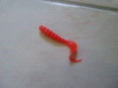 p6160662__wince_.jpg