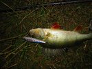 img_4940.jpg