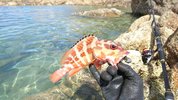 DSC_0112.JPG DSC_0112.JPG