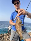 Grouper Max Docken Grouper Max Docken