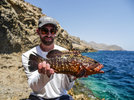 Dusky Grouper Max Docken Dusky Grouper Max Docken
