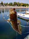 IMG_20190831_093821.jpg