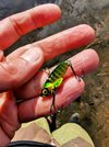 IMG_20220902_161736~2.jpg