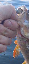20220921_165117.jpg