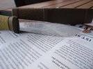 IMG_20220929_170648.jpg